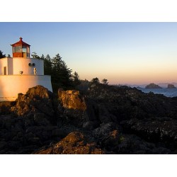 ESP Abalorio zapatito